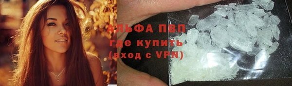 эйфоретик Белая Холуница