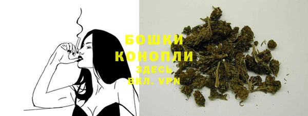 эйфоретик Белая Холуница