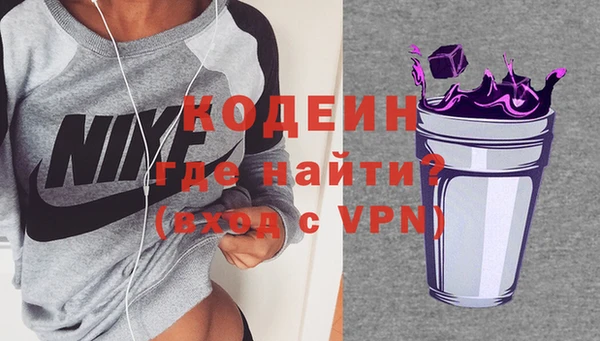 прущие грибы Новодвинск