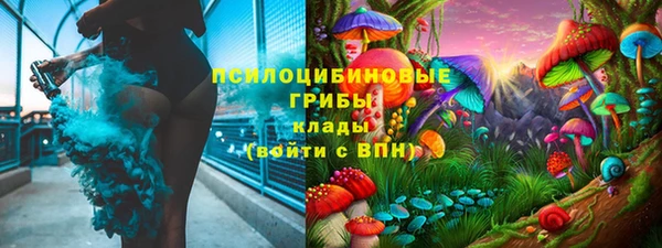 apvp Нязепетровск