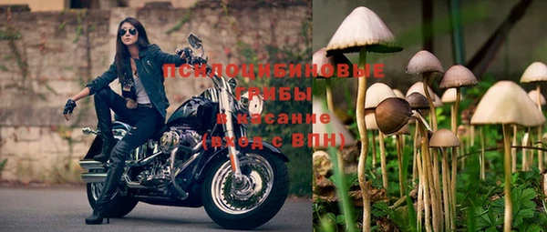 apvp Нязепетровск